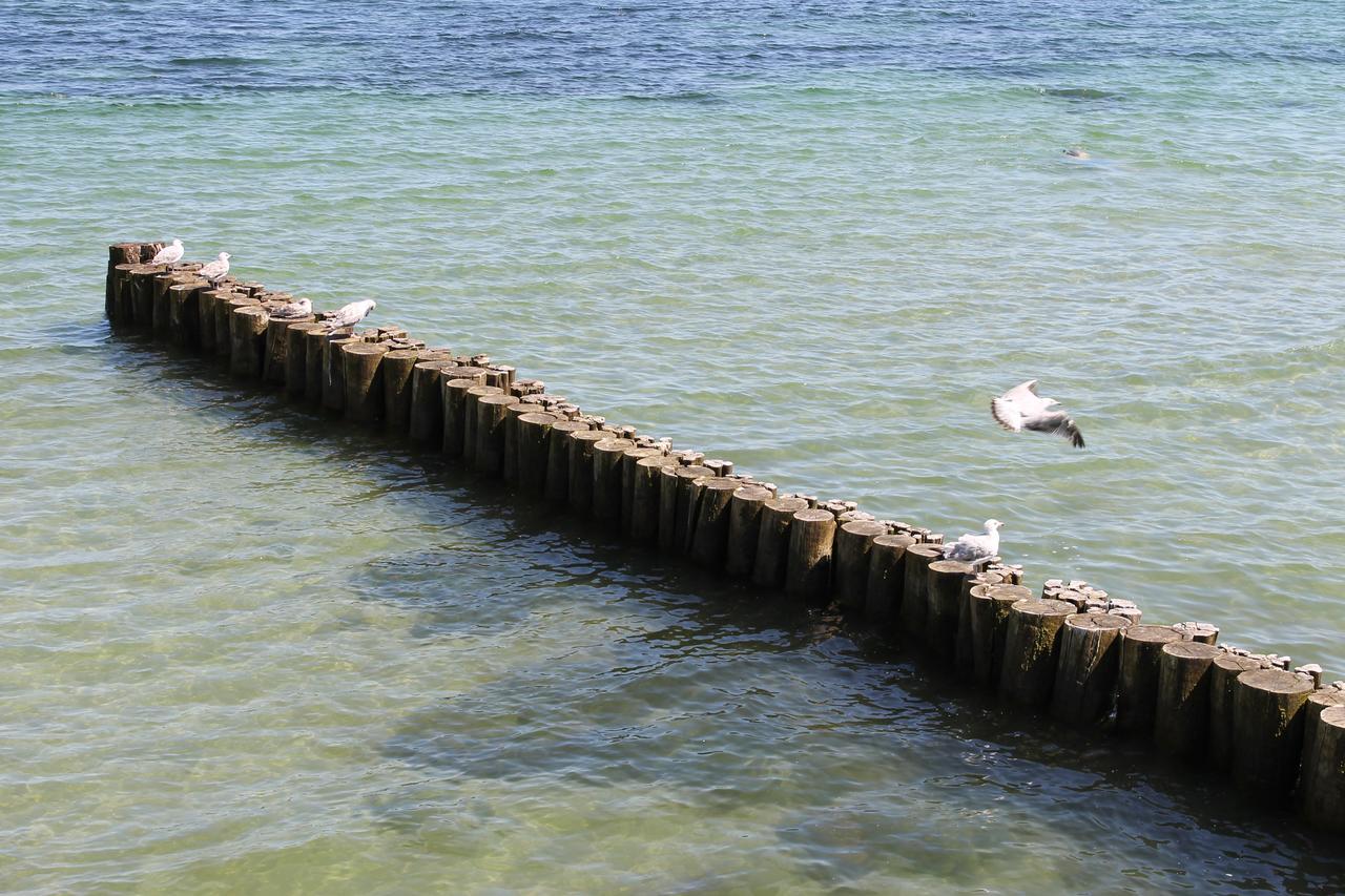 Yachthafenresidenz Διαμέρισμα Ostseebad Kühlungsborn Εξωτερικό φωτογραφία